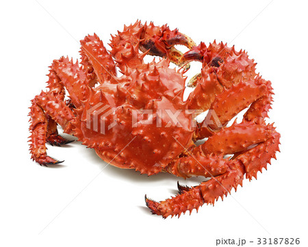 Kamchatka king crab isolated on white Kamchatka king crab isolated on white 33187826