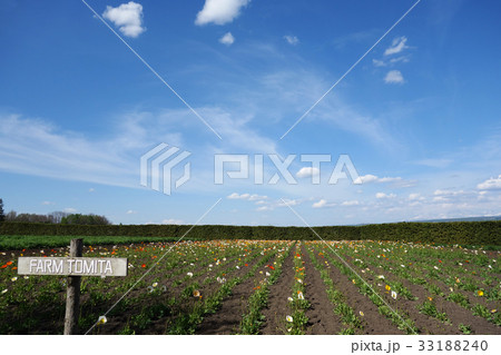 富良野　春イメージ素材 33188240