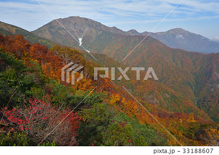 巻倉山山頂付近から錦の越後三山、中ノ岳と越後駒ケ岳を見る 巻倉山山頂付近から錦の越後三山、中ノ岳と越後駒ケ岳を見る 33188607