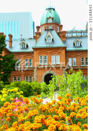 北海道　道庁　赤レンガ庁舎 33188842