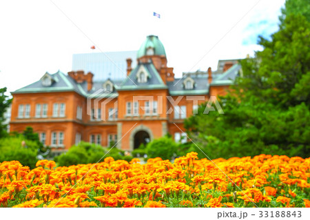 北海道　道庁　赤レンガ庁舎 33188843