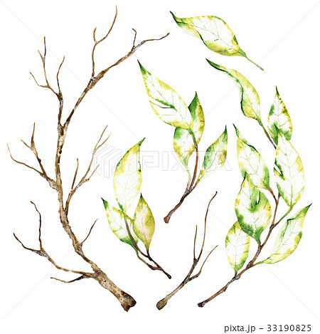 Watercolor elements Watercolor elements 33190825