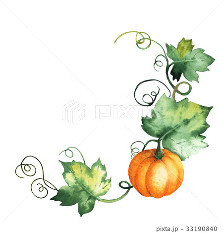 Watercolor Pumpkin Hand Drawn Isolated Elementsのイラスト素材