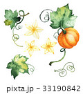 Watercolor pumpkin, isolated elements 33190842