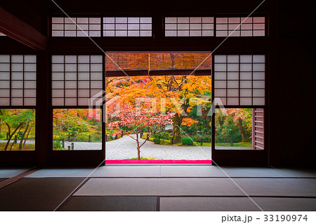 京都　圓光寺の紅葉　　 33190974
