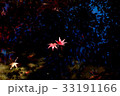 水に浮かぶもみじ 33191166