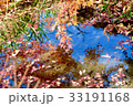 水面に映るもみじ 33191168