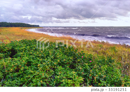 The Baltic Sea coast in summer The Baltic Sea coast in summer 33191251