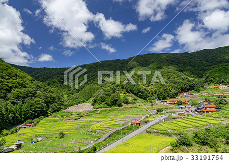大井谷棚田 33191764