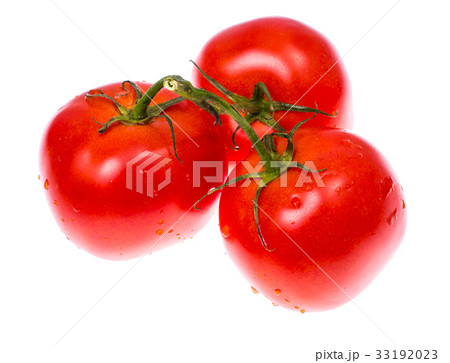 Washed fresh ripe tomatoes with water droplets 33192023
