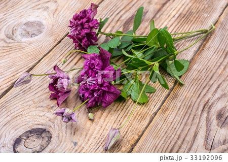 Garden clematis on wooden table 33192096