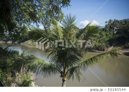 LAOS LUANG PRABANG NAM KHAN RIVER LAOS LUANG PRABANG NAM KHAN RIVER 33193544