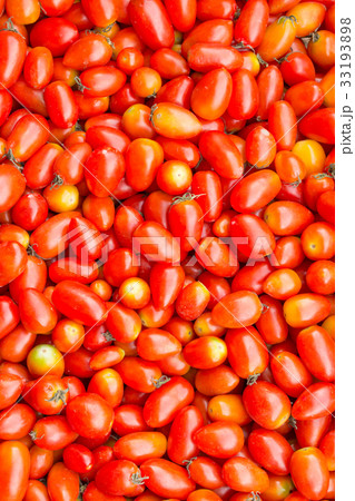 Tomatoes Tomatoes 33193898