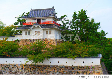 福山城月見櫓と花 33194168