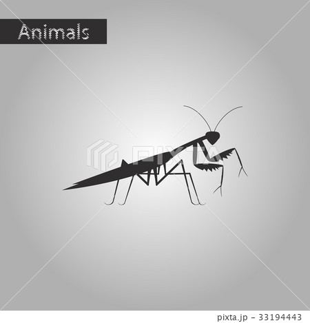 black and white style icon of Mantis 33194443