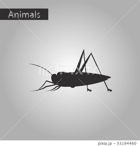 black and white style icon of grasshopper black and white style icon of grasshopper 33194460