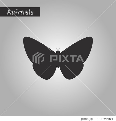 black and white style icon of butterfly black and white style icon of butterfly 33194464