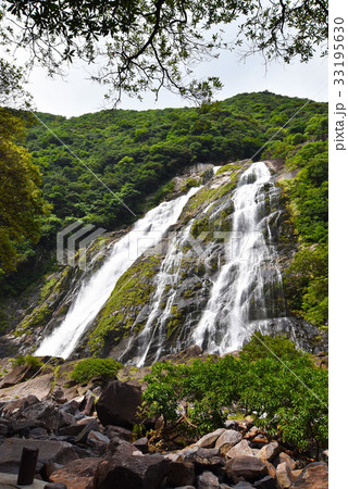 屋久島・大川の滝 屋久島・大川の滝 33195630