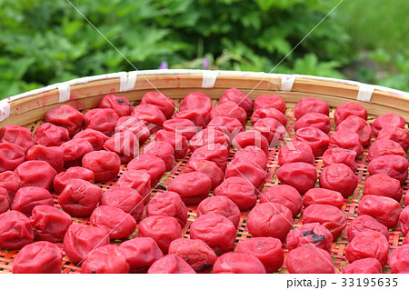 梅の天日干し、土用干し、スローライフ 33195635