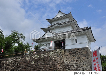 小田原城址公園の小田原城天守閣 小田原城址公園の小田原城天守閣 33196080