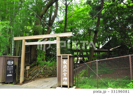 樹木に覆われた報徳二宮神社　報徳の杜鳥居 33196081