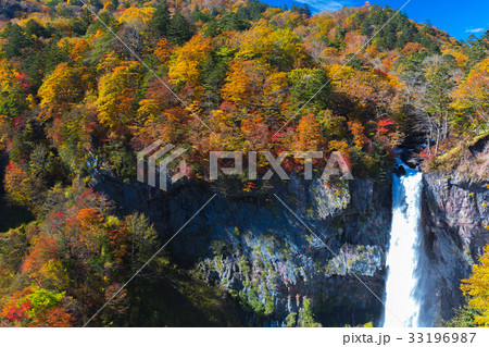 【名瀑】　華厳の滝の紅葉 33196987