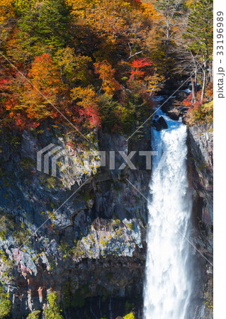 【名瀑】　華厳の滝の紅葉 33196989