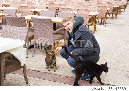 Homeless cat, pet and animals concept - Man caress Homeless cat, pet and animals concept - Man caress 33197289