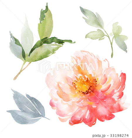 Set of watercolor large peony for greeting card. 33198274