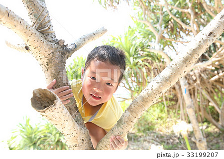 南国で木登りする子ども 33199207