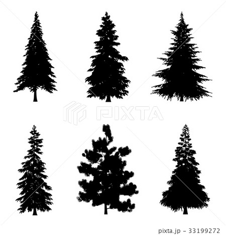 Vector illustration of tree silhouettes   33199272