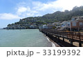海外の海岸沿いの豪華な住宅街 33199392