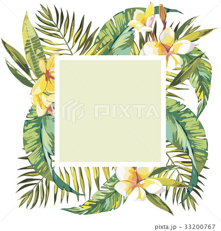 Summer tropical background with palm tree leaves Summer tropical background with palm tree leaves 33200767
