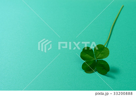 カラフル四つ葉のクローバー　緑色　背景素材 33200888