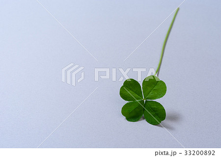 カラフル四つ葉のクローバー　灰色　背景素材 33200892