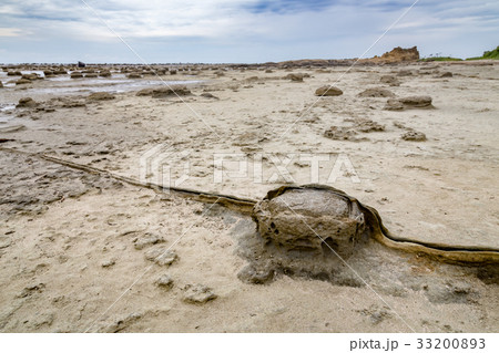 石見畳ヶ浦 33200893