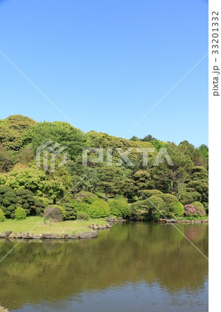 小石川植物園　日本庭園 33201332