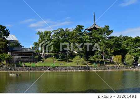 奈良　興福寺と猿沢池 33201491