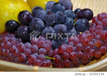 ブドウとナシ ザルの上 c ブドウとナシ ザルの上 c 33202156