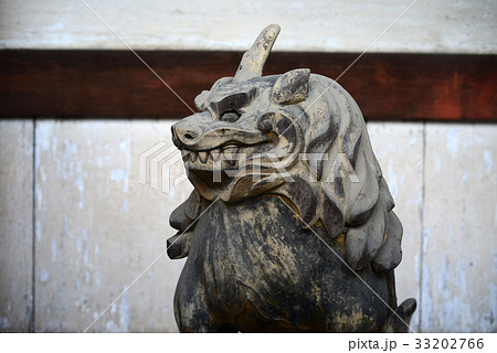 仁和寺仁王門の唐獅子-3 仁和寺仁王門の唐獅子-3 33202766