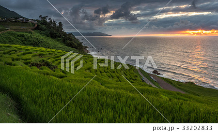 白米千枚田と海に沈む夕日 33202833