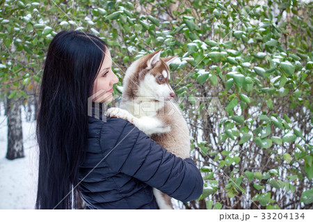 portrait of a young women with a husky puppies 33204134