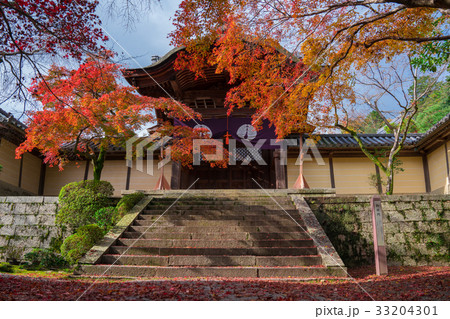 京都　光明寺の紅葉　 33204301