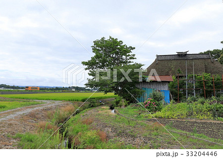 川倉地蔵駅付近の津軽鉄道 川倉地蔵駅付近の津軽鉄道 33204446