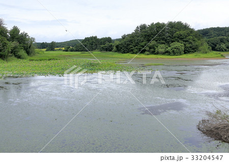 津軽平野　大沢内ため池 33204547