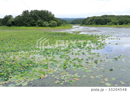 津軽平野　大沢内ため池 33204548