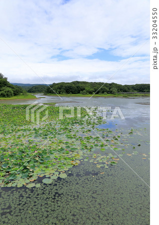 津軽平野　大沢内ため池 33204550