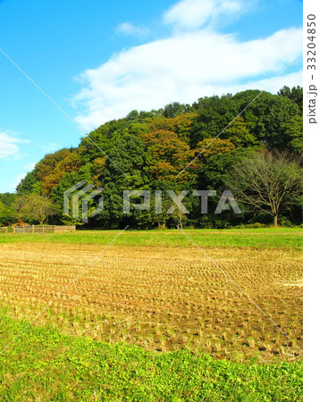 秋の里山風景 33204850