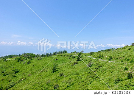 鉢伏高原スカイライン　晴天　　長野県 33205538
