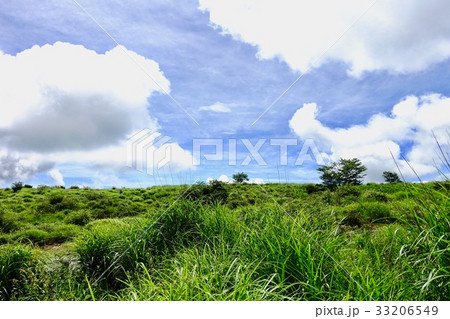 高ボッチ高原　 33206549
